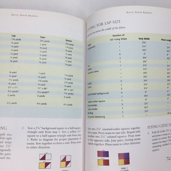 Vintage 2004 Fast-Forward Your Quilting Dina Pappas Quilt Pattern Design Book - Picture 8 of 9